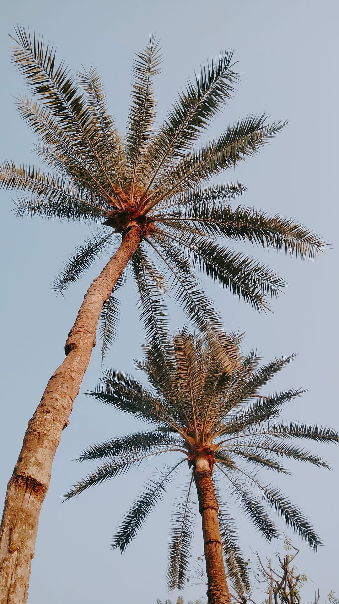 The Places That Don't Need a Filter